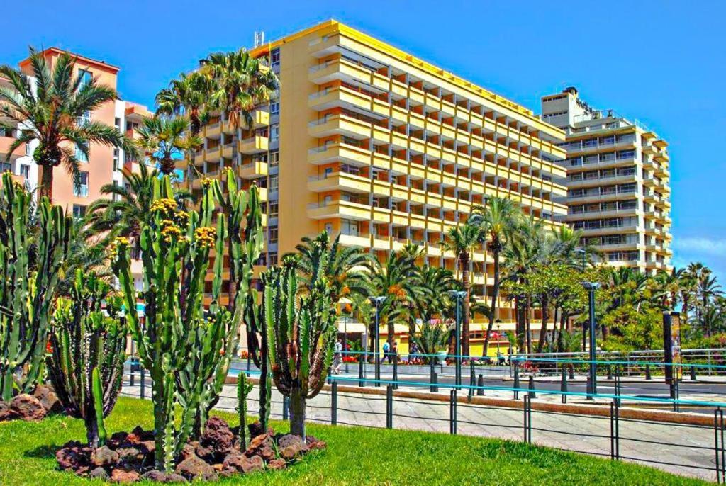 Amplio Estudio En Martianez Puerto de la Cruz  Ngoại thất bức ảnh
